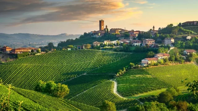 LE LANGHE